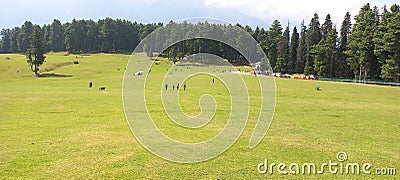 A beautiful view of the meadow in Baisaran, Kashmir, India Stock Photo