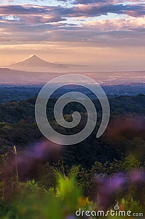 Beautiful view of the momotombo volcano on lake Managua in Nicaragua at sunset with purple flowers out of focus in the foreground Stock Photo