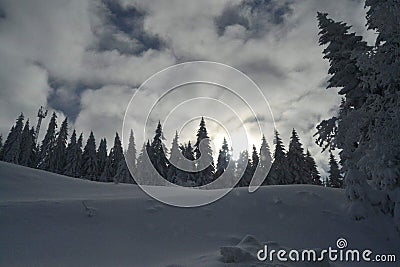 Vacation on the mountain, Jahorina. Stock Photo