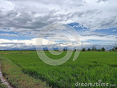 Beautiful view from my home town south borneo Stock Photo