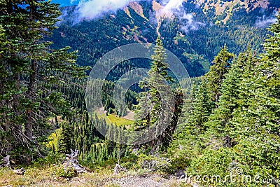 Beautiful view of the Olympic Mountain Range, Olympic National Park, Washington, USA Stock Photo