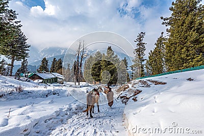 Beautiful view of Pahalgam during winter season Editorial Stock Photo