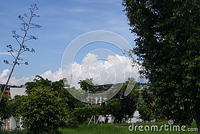 Beautiful view of park with beautiful sunny day Stock Photo