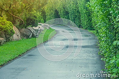 Beautiful view pathway or walkway in public park surrounded with green natural and sunlight background. Stock Photo