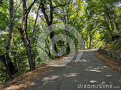 Beautiful view of the pedestrian road under the crowns of green trees on Mount Mashuk in the resort town of Pyatigorsk. Pyatigorsk Stock Photo