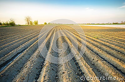 Beautiful view of the plowed field on a sunny day. Preparation for planting vegetables. Agriculture. Farmland. Soft selective Stock Photo