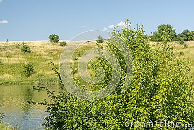 Beautiful view of river, green trees, hills and blue cloudy sky. Summer landscape Stock Photo