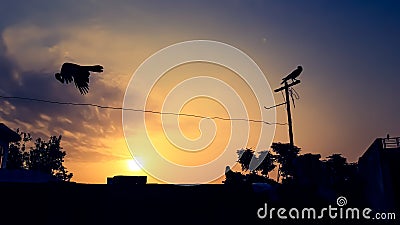 The Beautiful View Of The Sky And Around When The Rising Sun At Dawn. Three Crow. Stock Photo