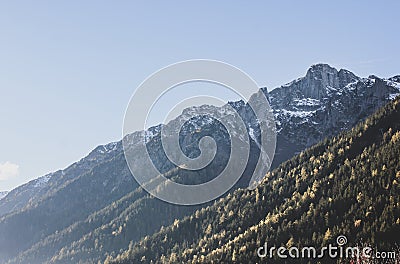 View of snowy Alps mountains and coniferous trees Stock Photo
