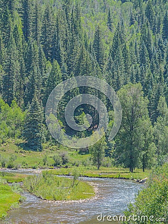 Beautiful view of Stoner Creek running through San Juan National Forest in Montezuma County, Colorado Stock Photo