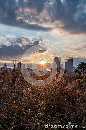 Beautiful view of sunlight covering some flowers in a sunny day Stock Photo