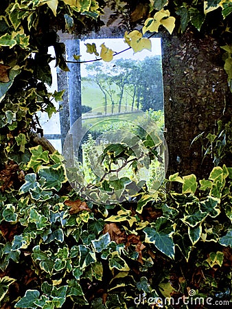 A View From An Ivy Window, Crookham, Northumberland, England, UK....... Stock Photo