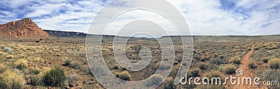 Views of sandstone and lava rock mountains and desert plants around the Red Cliffs National Conservation Area on the Yellow Knolls Stock Photo