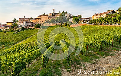 The beautiful village of Neive and its vineyards in the Langhe region of Piedmont, Italy. Stock Photo