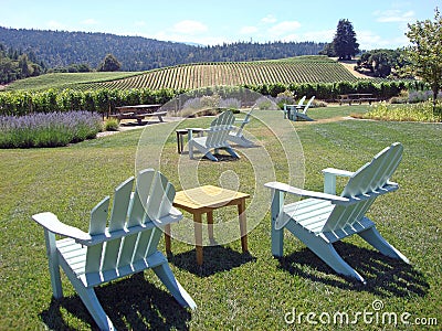 Beautiful Vineyard in Northern California Stock Photo