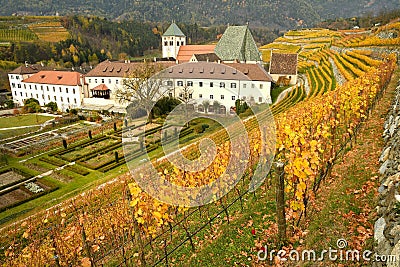 Beautiful vineyards at Abbey of Novacella, south tyrol, Bressanone, Italy. The Augustinian Canons Regular Monastery of Neustift. Stock Photo