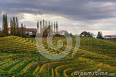 Beautiful vineyards landscape of Jeruzalem on Slovene Hills. Ljutomer. Northeastern Slovenia Stock Photo
