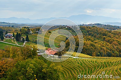 Beautiful vineyards landscape of Jeruzalem on Slovene Hills. Ljutomer. Northeastern Slovenia Stock Photo