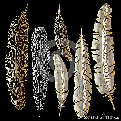 Beautiful Vintage Feathers Vector Illustration