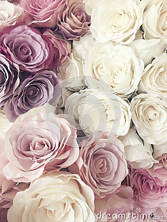 Beautiful vintage Rose background. white, pink, purple, violet, cream color bouquet flower. Elegant style floral. Stock Photo