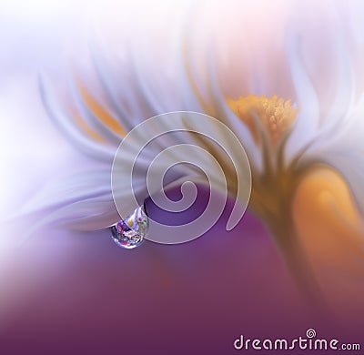 Beautiful Violet Nature Background.Abstract Wallpaper.Colorful Daisy Flowers.Celebration,love.Holidays.White Background. Cartoon Illustration
