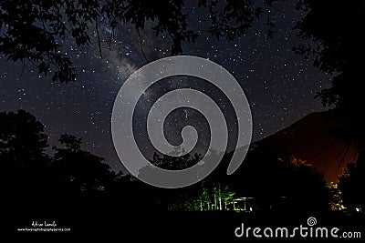 Beautiful vista starry night sky over silhouette trees in the park Stock Photo