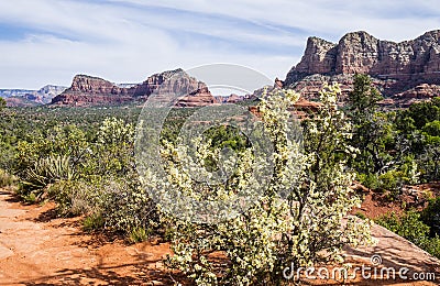 Beautiful Vistas of Sedona Arizona #8 Stock Photo