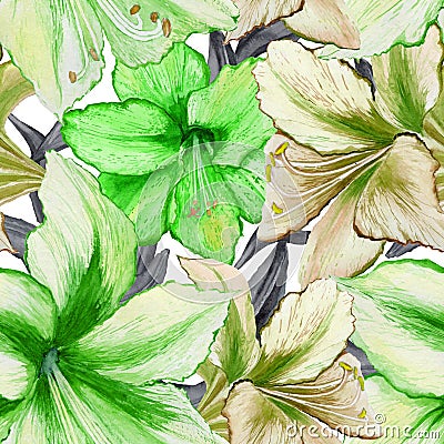 Beautiful vivid green amaryllis flowers on white background. Seamless spring pattern. Watercolor painting. Cartoon Illustration