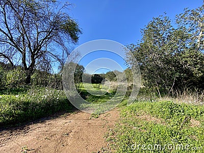 Beautiful walk along the amazing Algibre River in Loule region, Algarve, Portugal Stock Photo