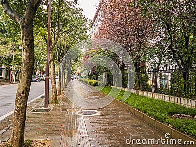 Beautiful walkway beside the road and Nature in the rainy day at Wulingyuan District Zhangjiajie City China. Stock Photo