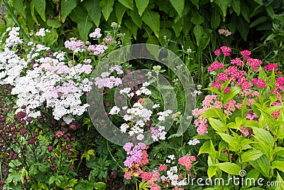 Beautiful walled garden Stock Photo