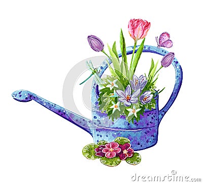 Beautiful watercolor, early spring garden flowers bouquet in a watering can Cartoon Illustration
