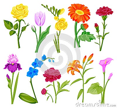 Beautiful watercolor flower set handmade style illustration isolated on white Vector Illustration