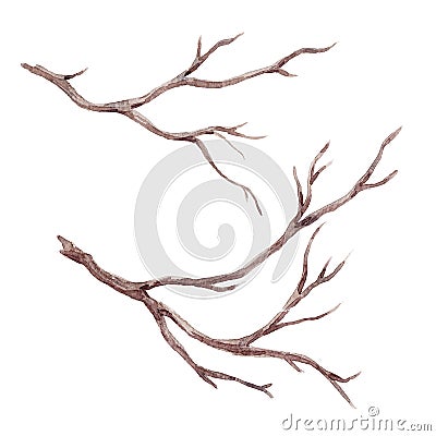 Watercolor fall tree branch Stock Photo