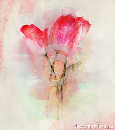 Beautiful watercolor red tulips bouquet Stock Photo