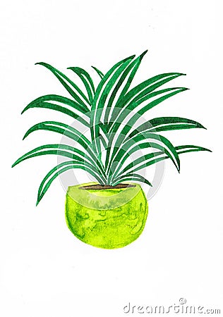 Beautiful watercolor spider plant in a lime pot Stock Photo