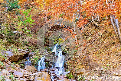 Beautiful waterfall in the Carpathians, Ukraine. Autumn forest a Stock Photo