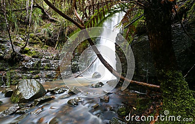 Waterfall Deep in the Rainforest surrounded by ferns Stock Photo