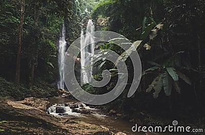 Beautiful waterfall in green forest in jungle Stock Photo