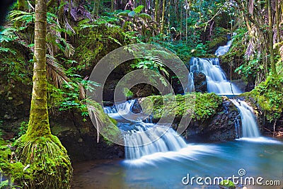 Beautiful waterfall Stock Photo