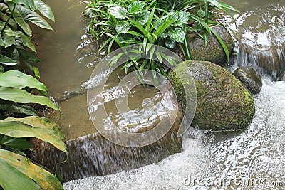 Beautiful waterfalls in national park in Singapore. Zoo Stock Photo