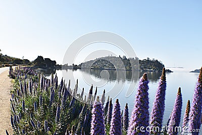 Beautiful Waterfront Trail In Tiburon Marin County Looking Out At Richardson Bay Stock Photo