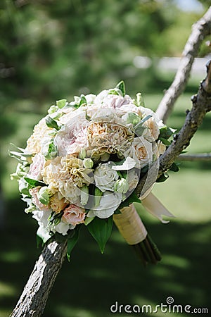 beautiful wedding bouquet of white flowers hanging on the tree Stock Photo