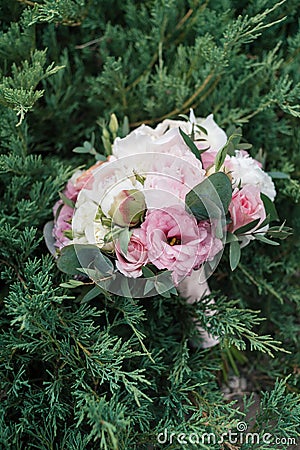 Beautiful wedding bouquet of white and pink peony and roses Stock Photo