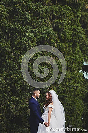 Beautiful wedding photo on mountain lake. Happy Asian couple in love, bride in white dress and groom in suit are photographed agai Stock Photo