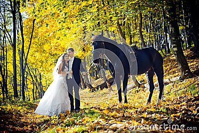 Beautiful wedding portrait in the autumn park. The beautiful gorgeous couple of newlyweds are tenderly hugging while Stock Photo