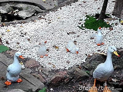 Beautiful white duck clay dolls Stock Photo