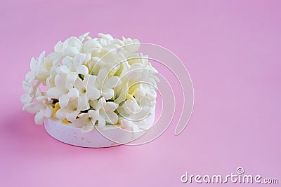 Beautiful white flowers on a pastel pink background. Women`s Day, Mother`s Day, Valentine`s Day, Wedding, Easter. Side view, co Stock Photo