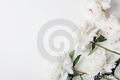 Beautiful white peony flowers bouquet on pastel table top. Flat lay style. Stock Photo