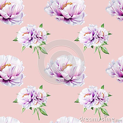 Beautiful white peony seamless pattern. Bouquet of flowers. Floral print. Marker drawing. Cartoon Illustration